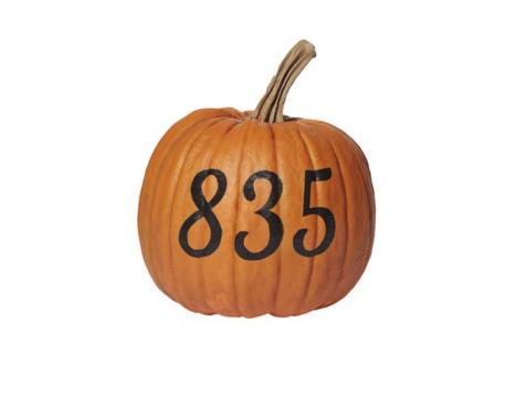 How to Display Your Address on a Pumpkin