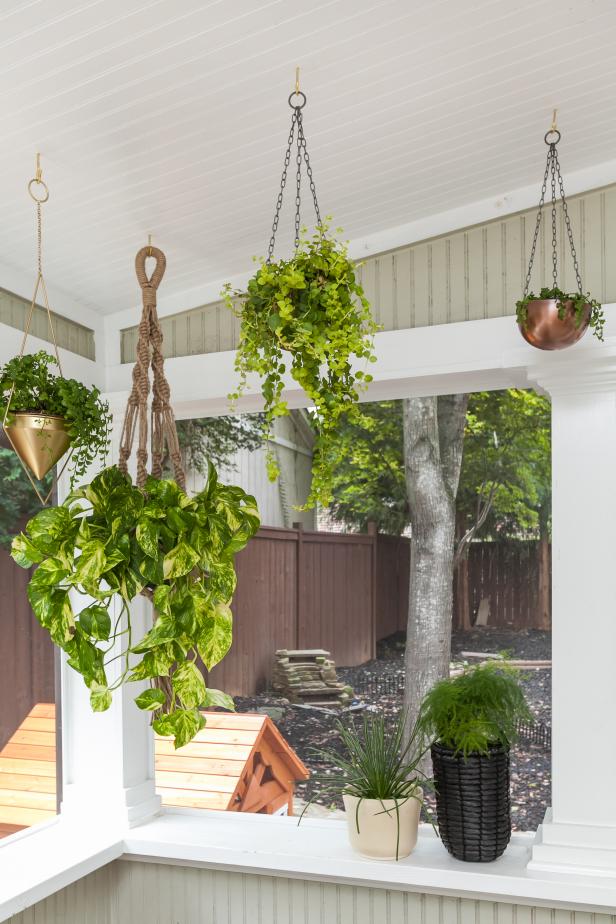 Hanging Plants on Porch