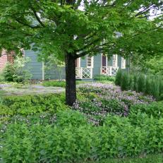 Rambling Garden and House Exterior