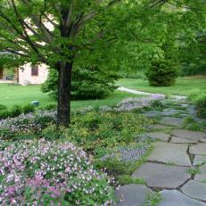 Stone Walkway and Purple Flowers