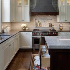Neutral Transitional Chef Kitchen With Dish Drawers