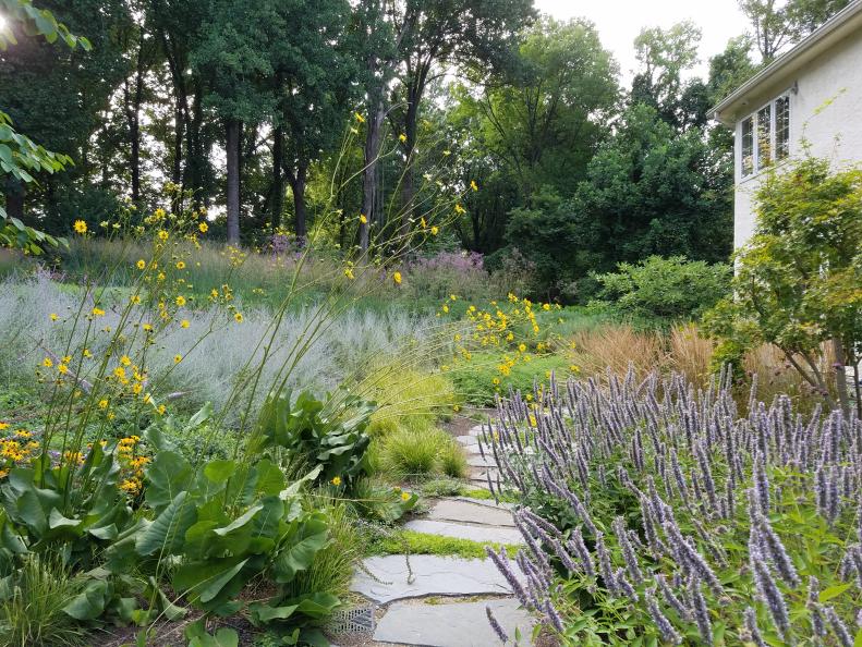 Stone Garden Walkway Surrounded by Lush Green Landscape and Perennials