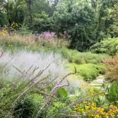 Luxuriant Garden With Perennials and Grasses