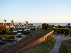 Contemporary Rooftop Garden Overlooking Ocean