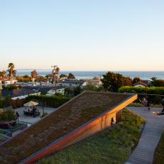 Rooftop Garden With Ocean View