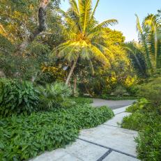 Tropical Backyard With Native Plantings