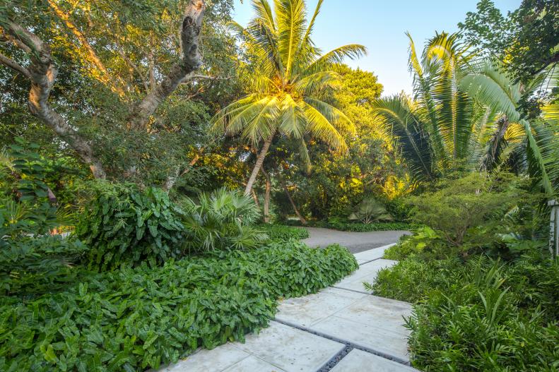 Tropical Backyard With Native Plantings