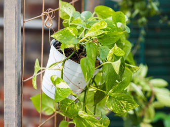 Potted Plants Hang From DIY Living Wall
