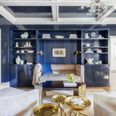 Navy-and-White Transitional Library