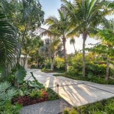 Tropical Garden and Concrete Walkway