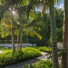 Tropical Backyard With Palm Trees and Lush Shrubs