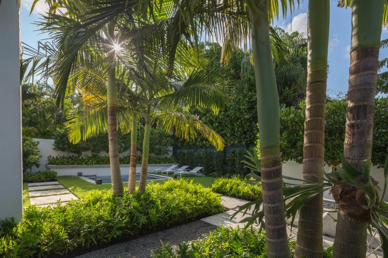 Backyard With Palm Trees, Green Shrubs and Concrete Pavers
