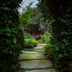Ivy Archway Through Garden