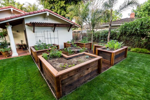 Southwestern Home With Backyard and Raised Garden Beds