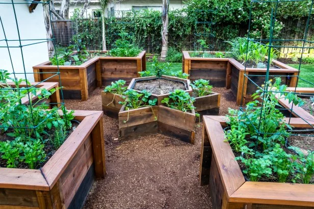 Cheap Raised Bed Ideas: Budget-Friendly DIY Garden Hacks