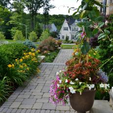 Front Walkway With Lush Landscaping