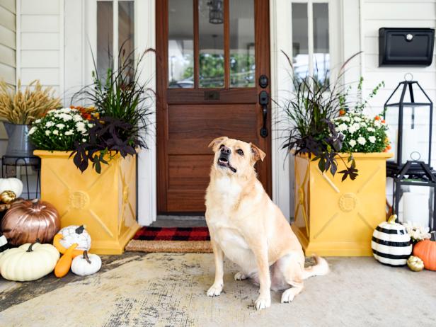 Celebrate Autumn With Fall S Best Porches And Patios Outdoors