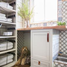 Laundry Room With Tiles and Dog