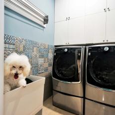 Blue Laundry Room With White Dog