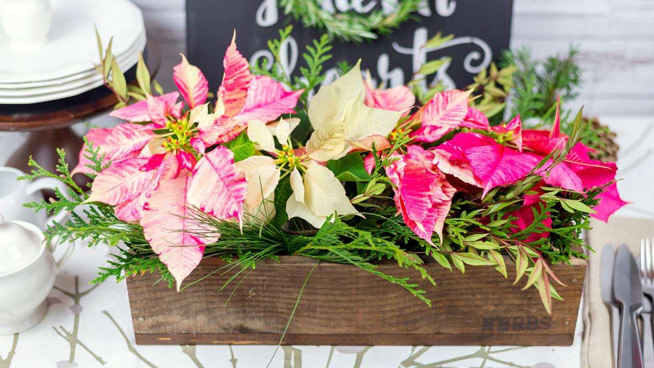 Floral arrangements with poinsettias 2025