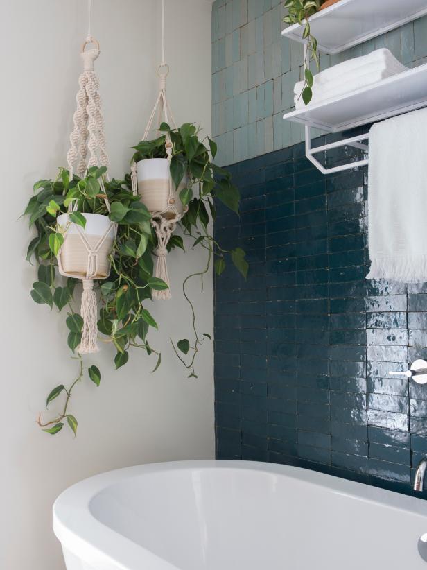 15 Stylish Ideas For Hanging Plants Hgtv