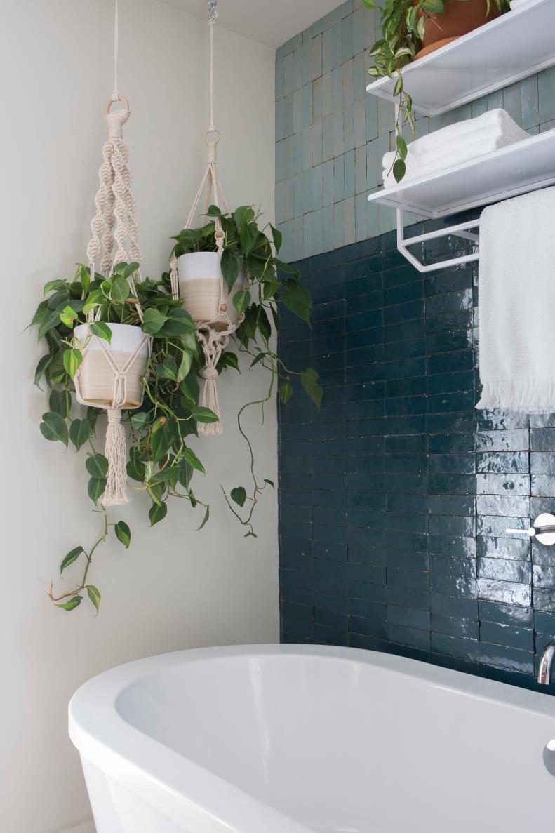 White Bathroom with Blue Tile Accent Wall and Hanging Plants 
