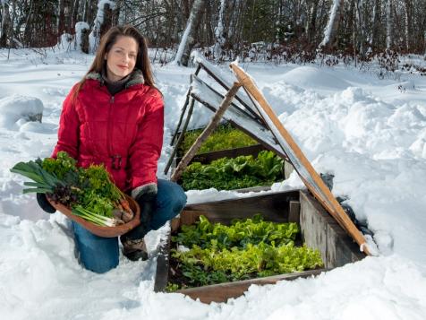 Year-Round Gardener and Creative Genius: Niki Jabbour