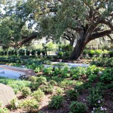 New Orleans Botanical Garden Arrival Garden