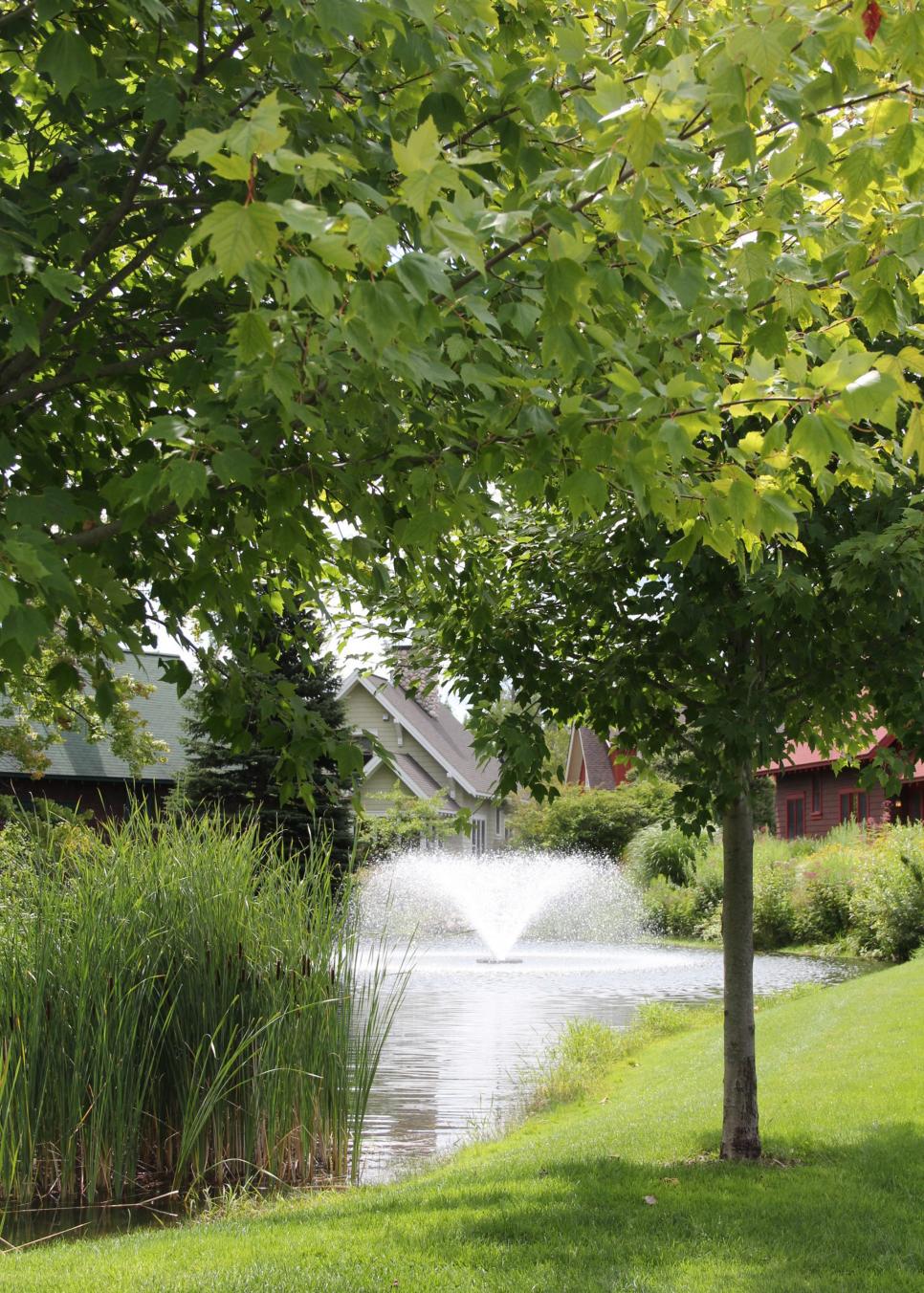 Pond With Fountain | HGTV