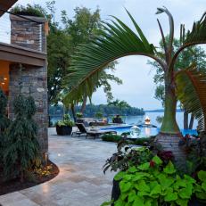 Palm Tree Adds Tropical Element to Patio and Pool