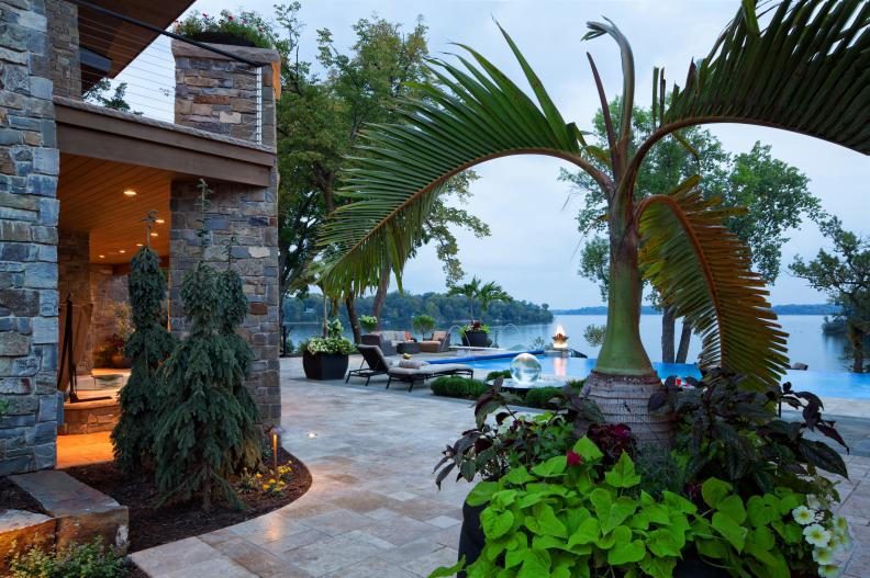 Contemporary Lakeside Patio With Infinity Pool, Palm Tree
