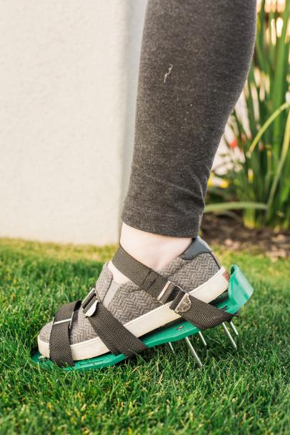 How To Winterize Your Lawn How Tos Diy