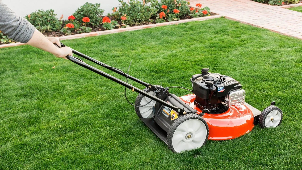 Grass cutting machine for buffalo best sale
