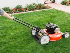 When it comes to cutting the grass, less is more. Don’t scalp your lawn, especially cool season varieties or “bunch” grasses- as they may not recover. A good rule of thumb- never cut more than the top third of the blade off; otherwise, it could stress the plant and cause unsightly browning. Cool season grass has an ideal height of around 2-4 inches tall. Warm season grasses are shorter and may require more sessions pushing that mower!