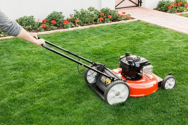 Can you cut wet grass with electric lawn mower top