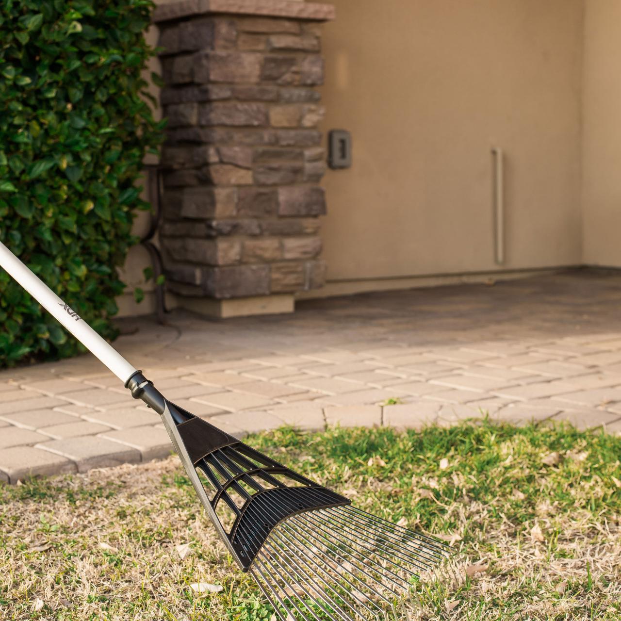Dead grass removal 2025 machine