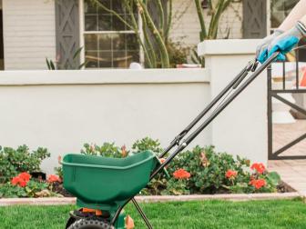 Whether you’re starting from scratch or nursing an existing lawn back to health, seeding is an important task you want to get right. Early spring is a good time to do this. Just keep in mind that colder soil conditions may slow growth down a bit. You can also seed in the fall if you miss the window!