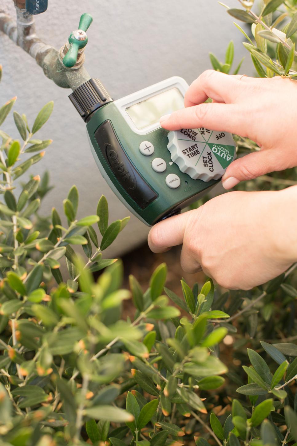 Solution: Timely Watering
