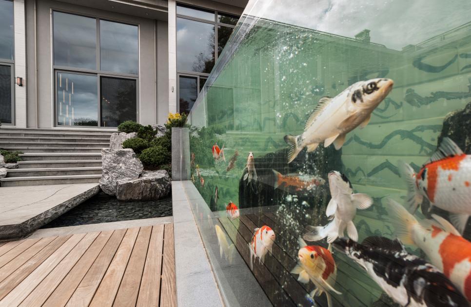 Oversized Fish Tank Makes Dramatic Statement