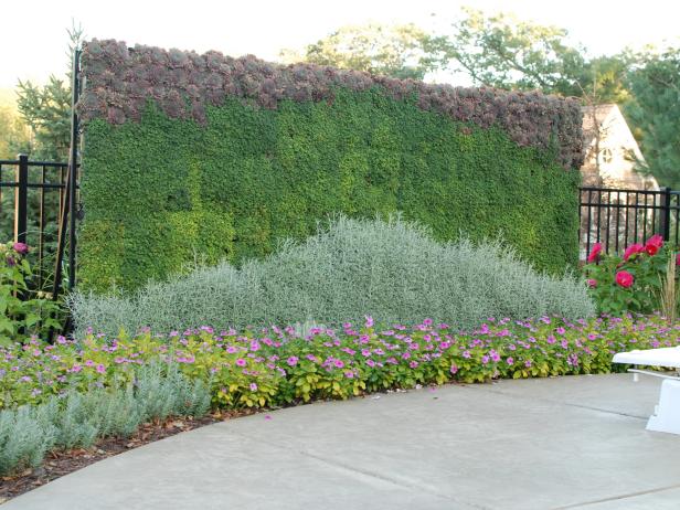 Living Wall and Garden