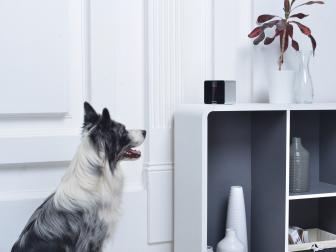 Pet monitoring
The family can keep an eye on pets left at home with this adorable cube, which allows you to watch your pet, and even interact with it using a playful laser.