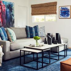 Splashes of Color in Contemporary Living Room
