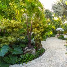 Tropical Garden Oasis