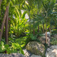 Native, Tropical Plants and Boulders