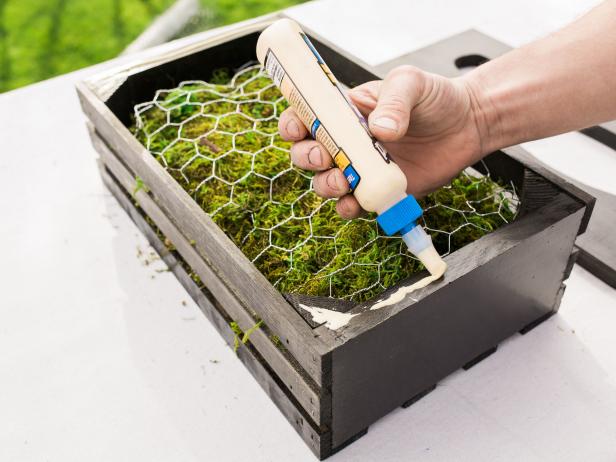 Step 9-  Attach TopWith chicken wire in place, holding the moss inside the crate, it’s time to place the lid on the crate. First, run a bead of wood glue along the crate’s top edge