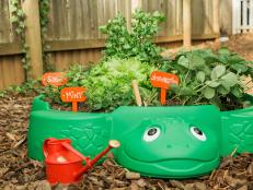 Put that old sandbox to good use- repurpose it for a fun, kid-friendly garden chocked full of healthy fruits and veggies. 