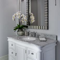 Transitional Gray and White Powder Room With Chrome Mirror
