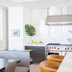 Open Contemporary Kitchen With Palm Leaf