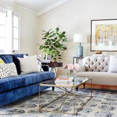 Blue and White Transitional Living Room With Plants
