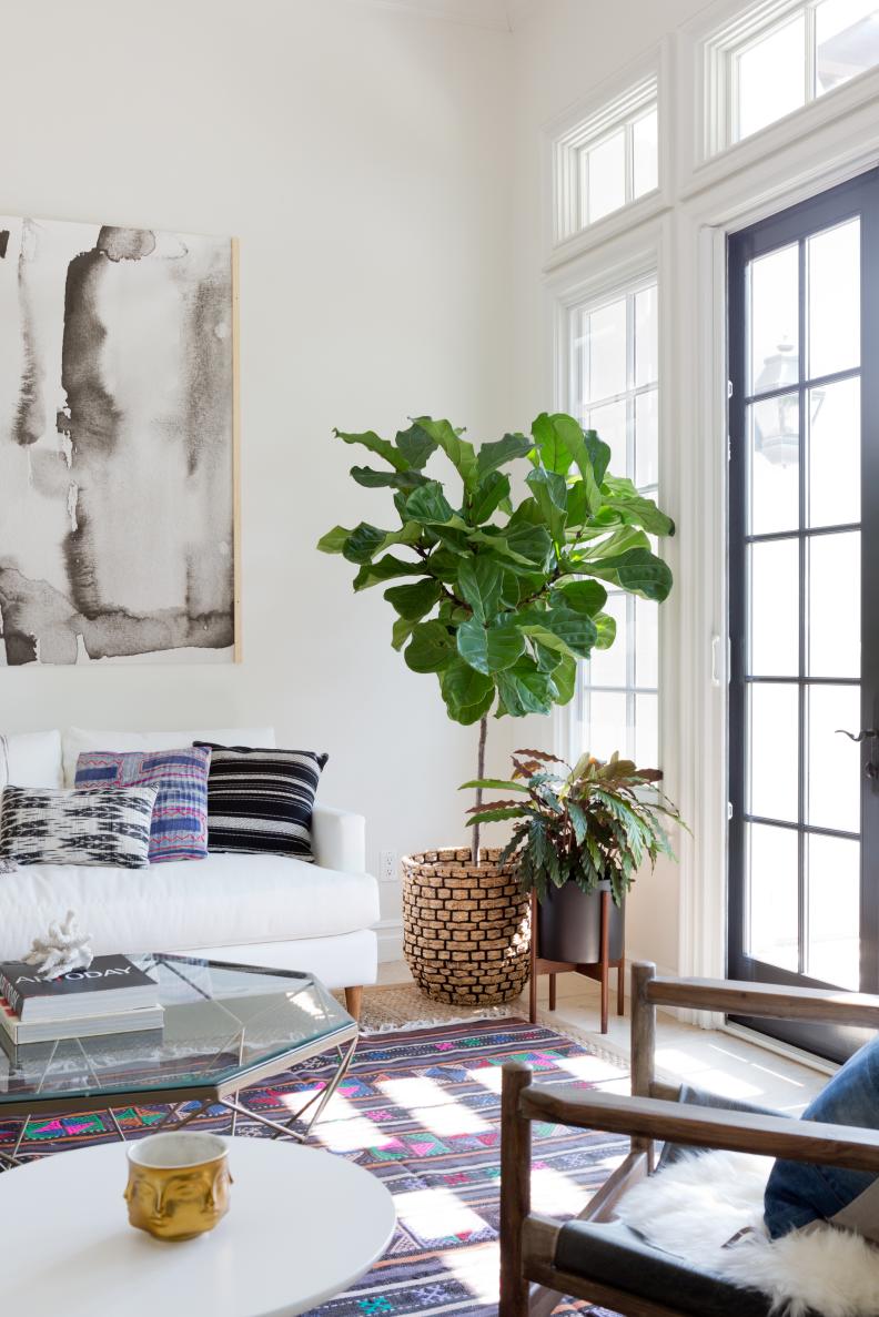 Eclectic Living Room With Houseplants